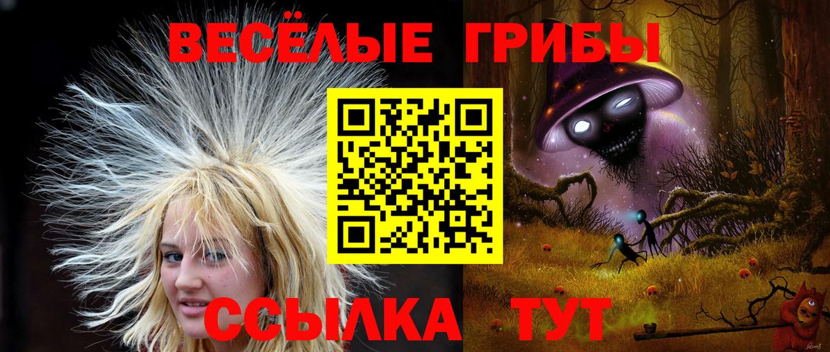 Курган  Псилоцибиновые грибы ЛСД  где можно купить   Вход с VPN  Псилоцибиновые грибы Psilocybine cubensis 
